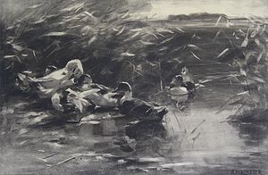 ALEXANDER KOESTER Enten im Schilf