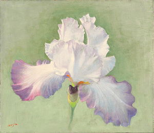 AARON SHIKLER Iris (Alizes)